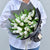 White Tulips