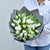 White Tulips